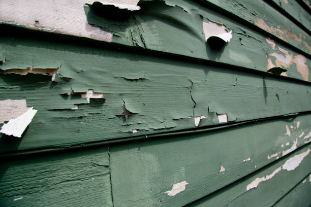 Best Basement Cleanout  in Cedar Hills, OR